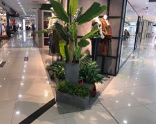 庭院圍墻或許也是庭院設計的點睛之筆